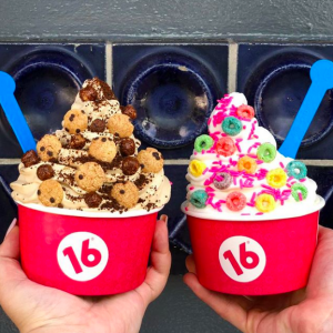 https://16handles.com/wp-content/uploads/2019/10/16-handles-kosher-locations-east-coast-USA-fro-yo-300x300.png